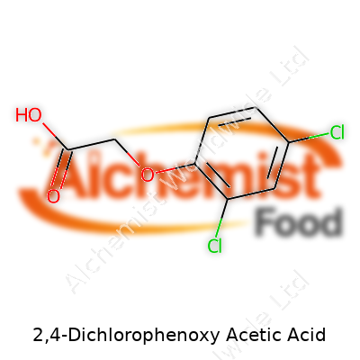2,4-Dichlorophenoxy Acetic Acid