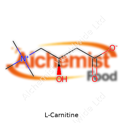 L-Carnitine