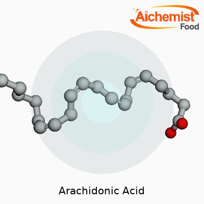 Arachidonic Acid