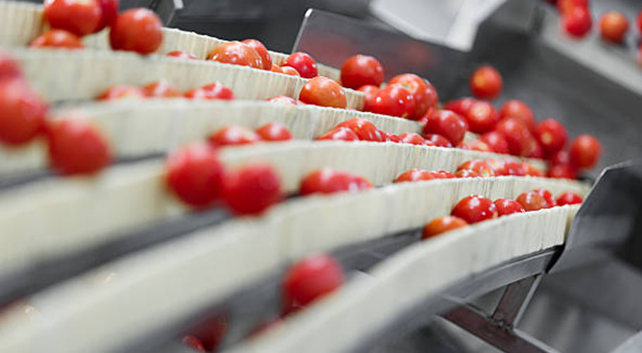 Alchemist Worldwide Ltd