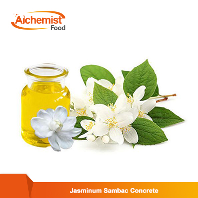 Jasminum-Sambac-Concrete4