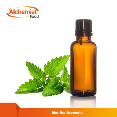 Mentha-Arvensis1