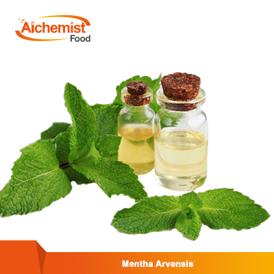 Mentha-Arvensis2