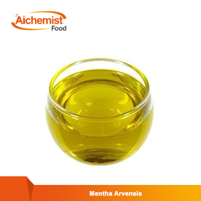 Mentha-Arvensis4