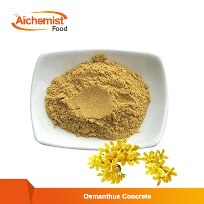 Osmanthus-Concrete-Osmanthus-Fragrans-Flower-Concrete1