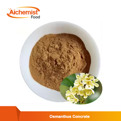 Osmanthus-Concrete-Osmanthus-Fragrans-Flower-Concrete2