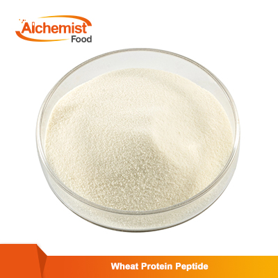 Wheat-Protein-Peptide-1